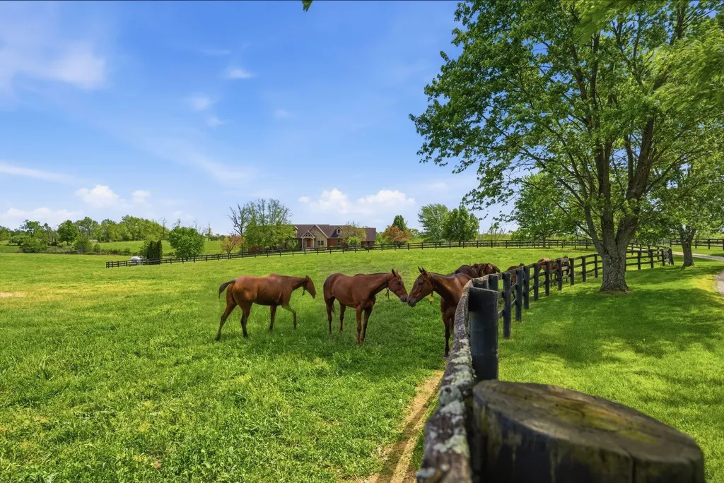 2549 Bethlehem Road Paris KY 40361