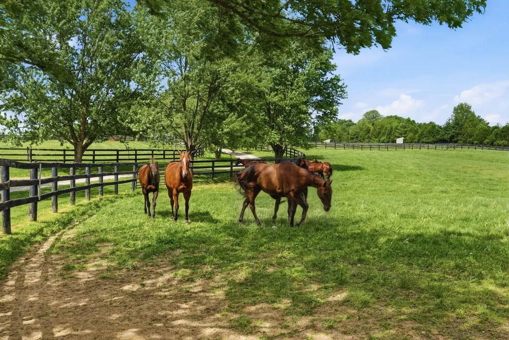 2549 Bethlehem Road Paris KY 40361
