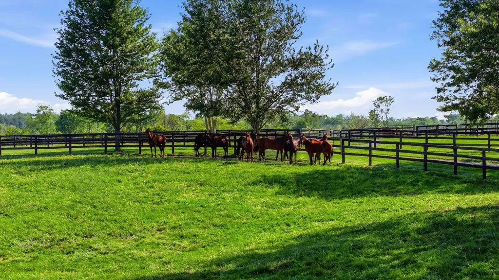 2549 Bethlehem Road Paris KY 40361