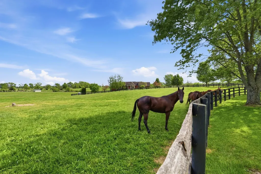 2549 Bethlehem Road Paris KY 40361