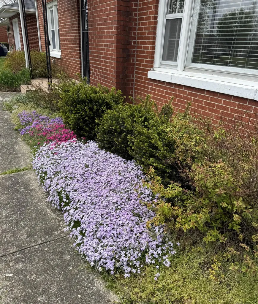 120 Windsor Drive Winchester KY 40391