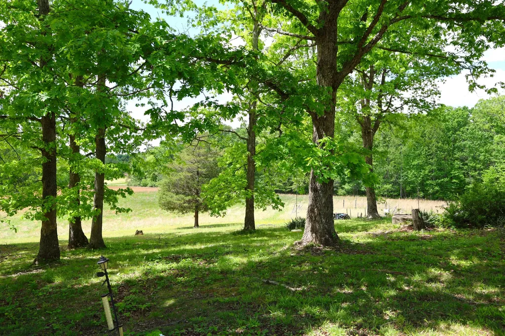 105 Stewart Fork Road Irvine KY 40336