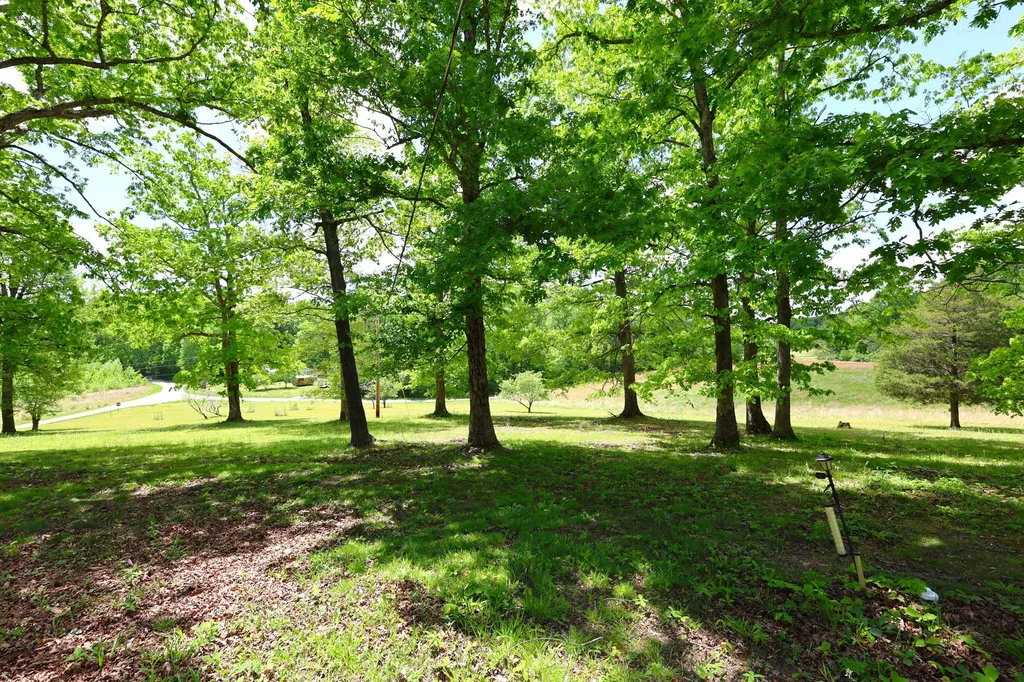 105 Stewart Fork Road Irvine KY 40336