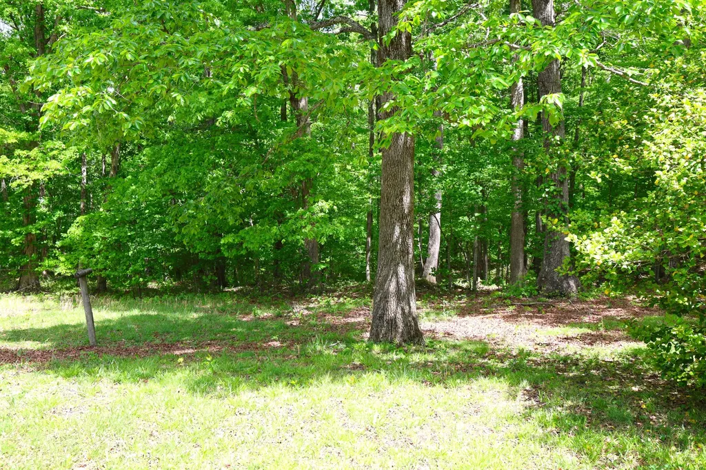 105 Stewart Fork Road Irvine KY 40336