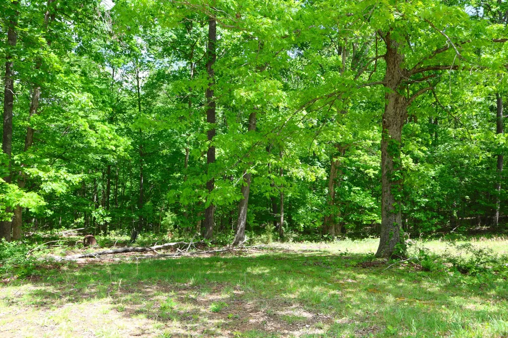 105 Stewart Fork Road Irvine KY 40336