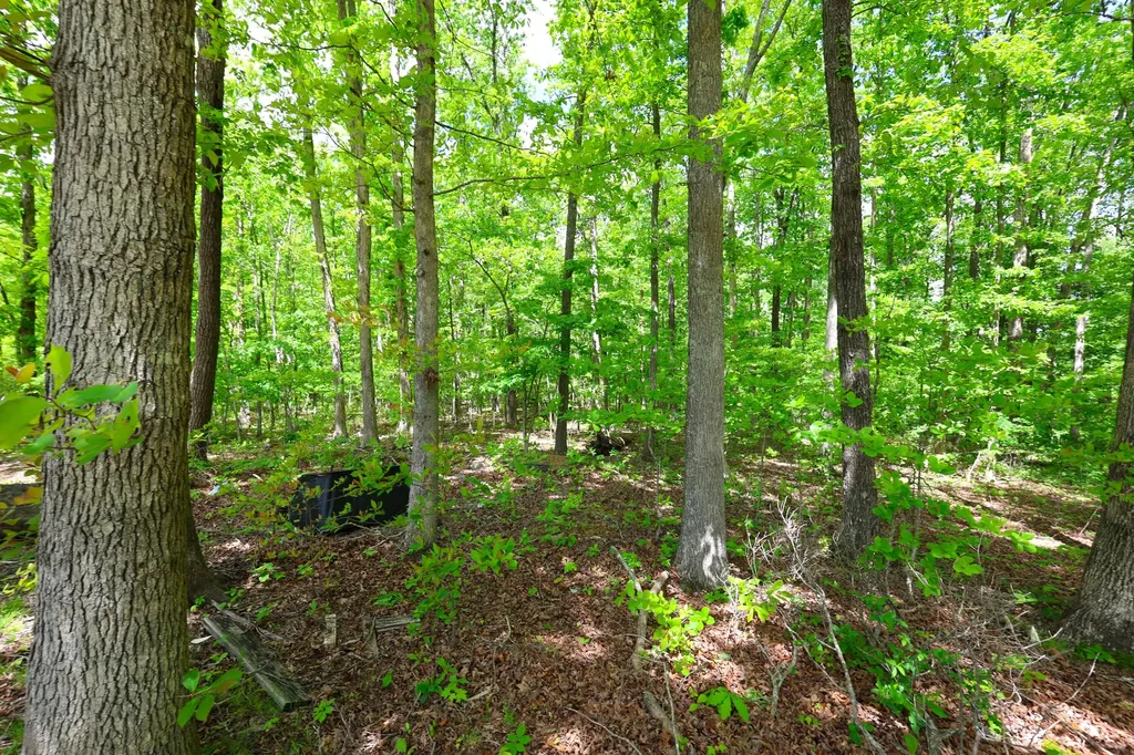 105 Stewart Fork Road Irvine KY 40336