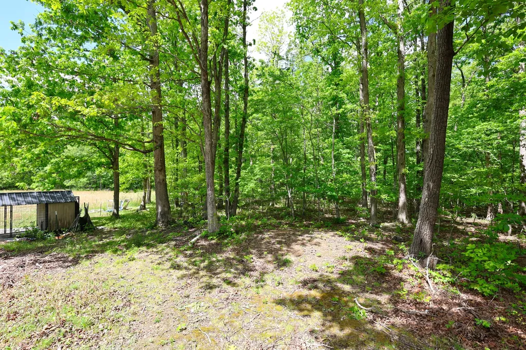 105 Stewart Fork Road Irvine KY 40336