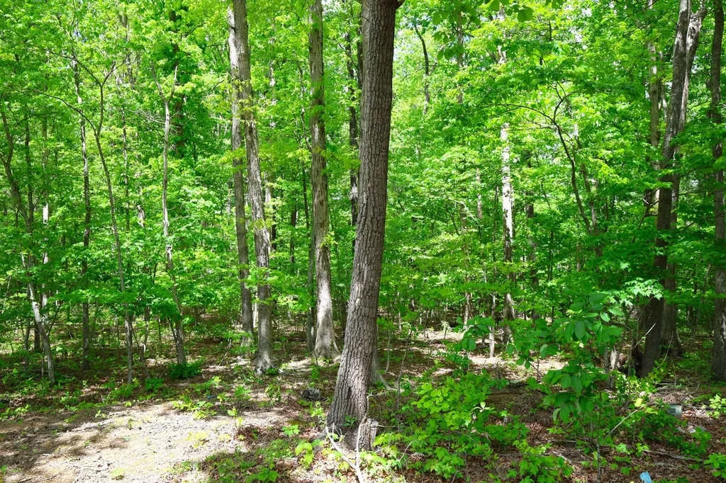 105 Stewart Fork Road Irvine KY 40336