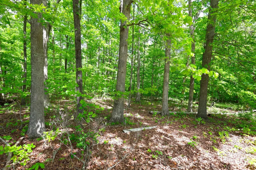 105 Stewart Fork Road Irvine KY 40336