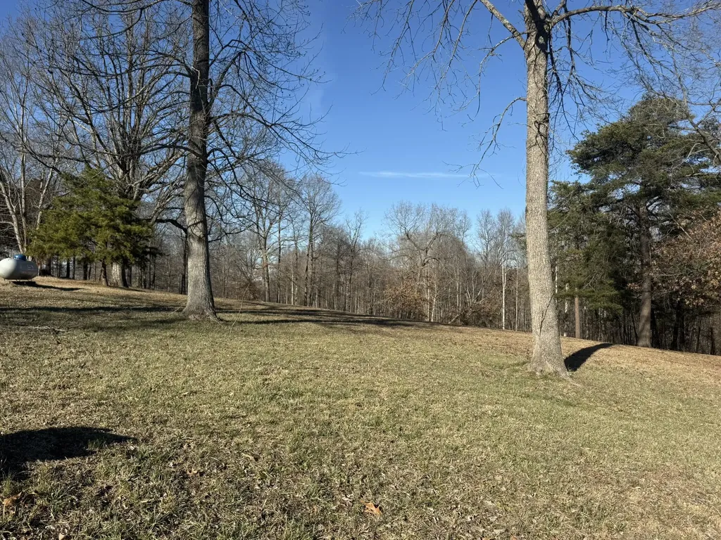 1 Penny Lane Albany KY 42602