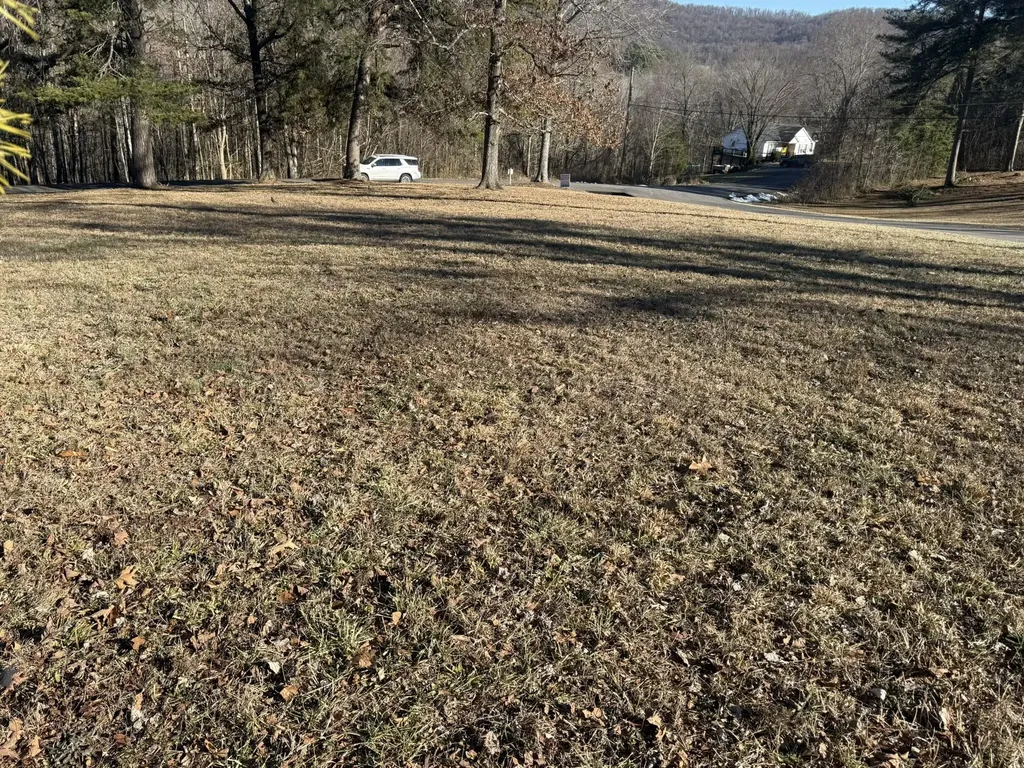 1 Penny Lane Albany KY 42602