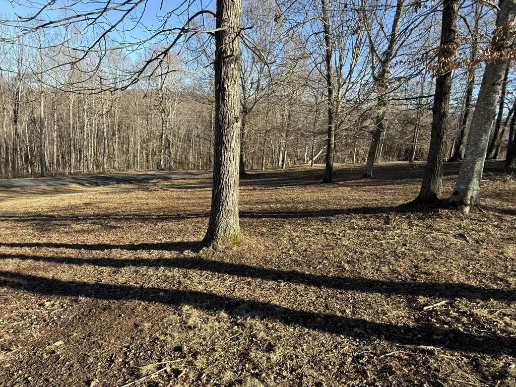 3 Penny Lane Albany KY 42602