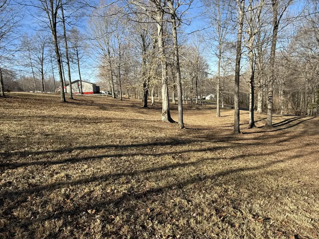3 Penny Lane Albany KY 42602