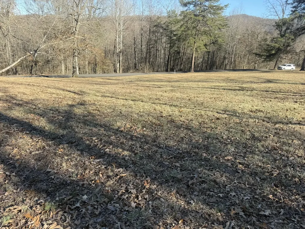 2 Penny Lane Albany KY 42602