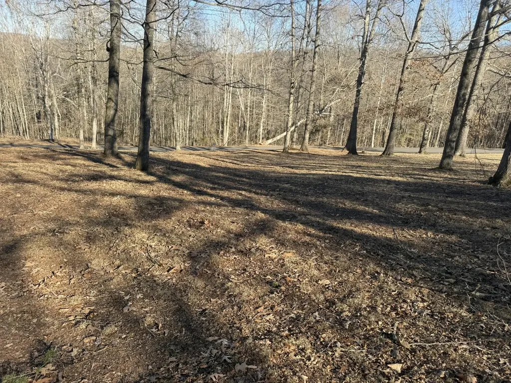 2 Penny Lane Albany KY 42602