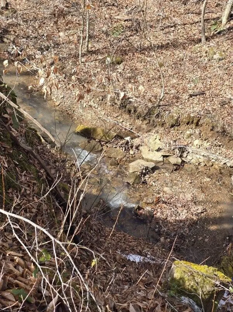 869 Highway 708 Beattyville KY 41311
