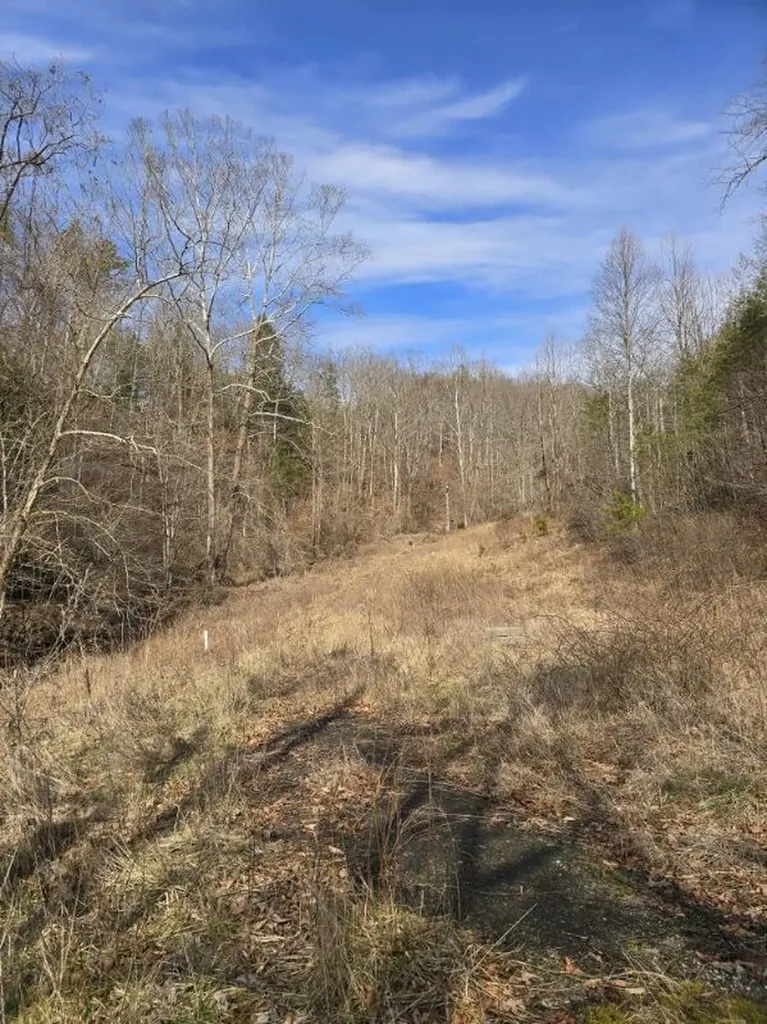 869 Highway 708 Beattyville KY 41311
