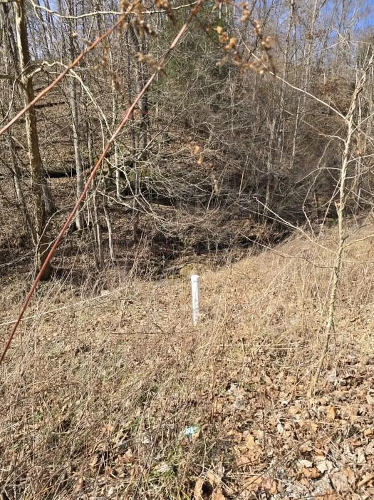 869 Highway 708 Beattyville KY 41311