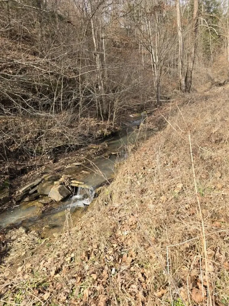 869 Highway 708 Beattyville KY 41311