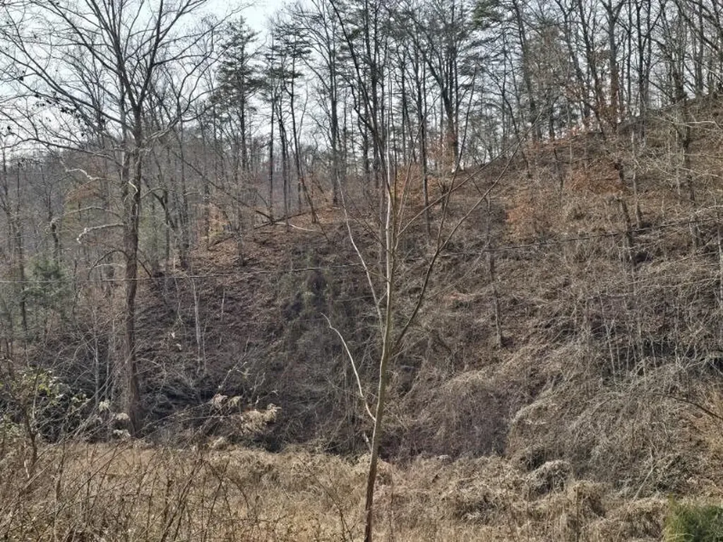 869 Highway 708 Beattyville KY 41311