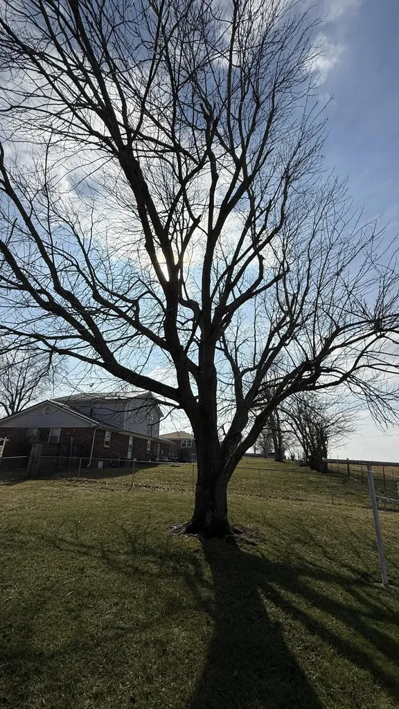 514 Scenic Drive Harrodsburg KY 40330