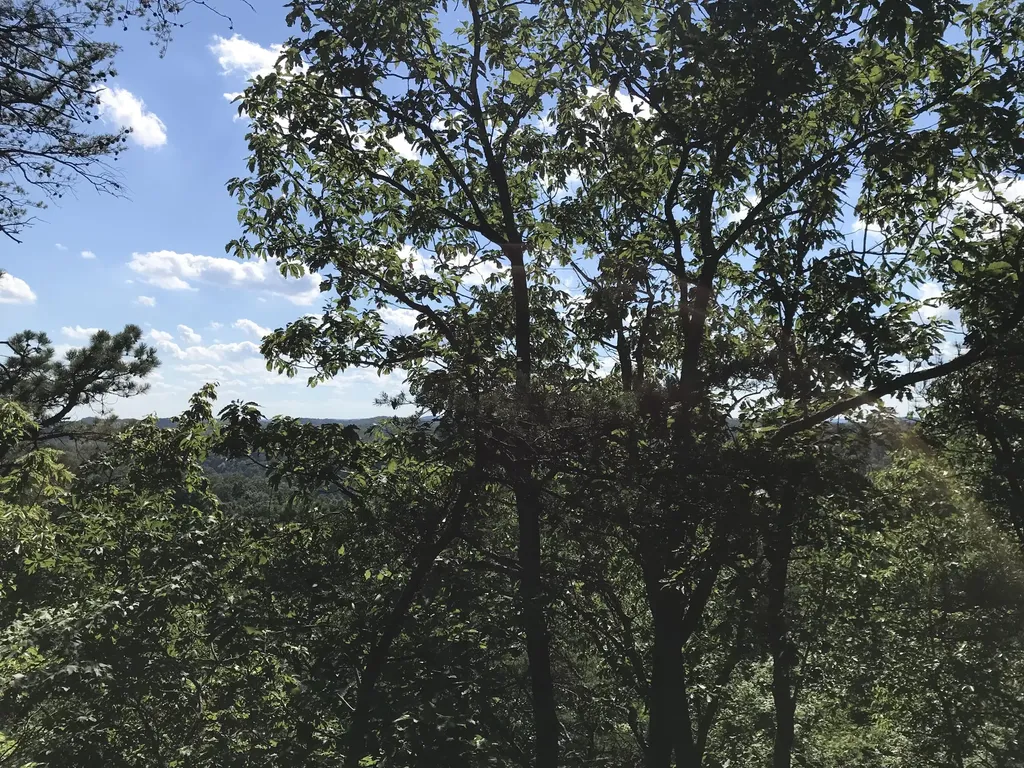 0 South Fork Stanton KY 40380