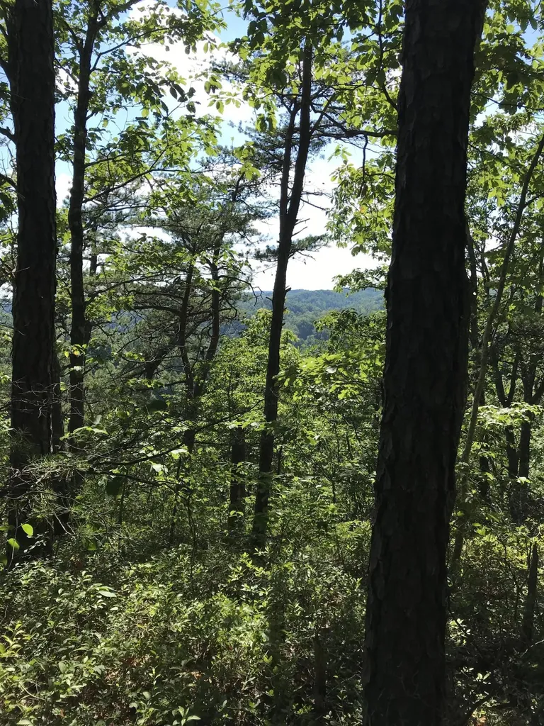 0 South Fork Stanton KY 40380