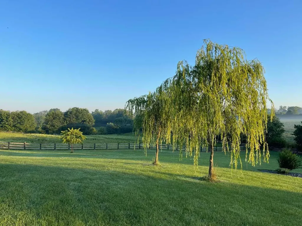 5028 Ashgrove Pike Nicholasville KY 40356