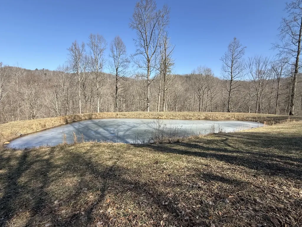 1657 Dry Hollow Road Monticello KY 42633