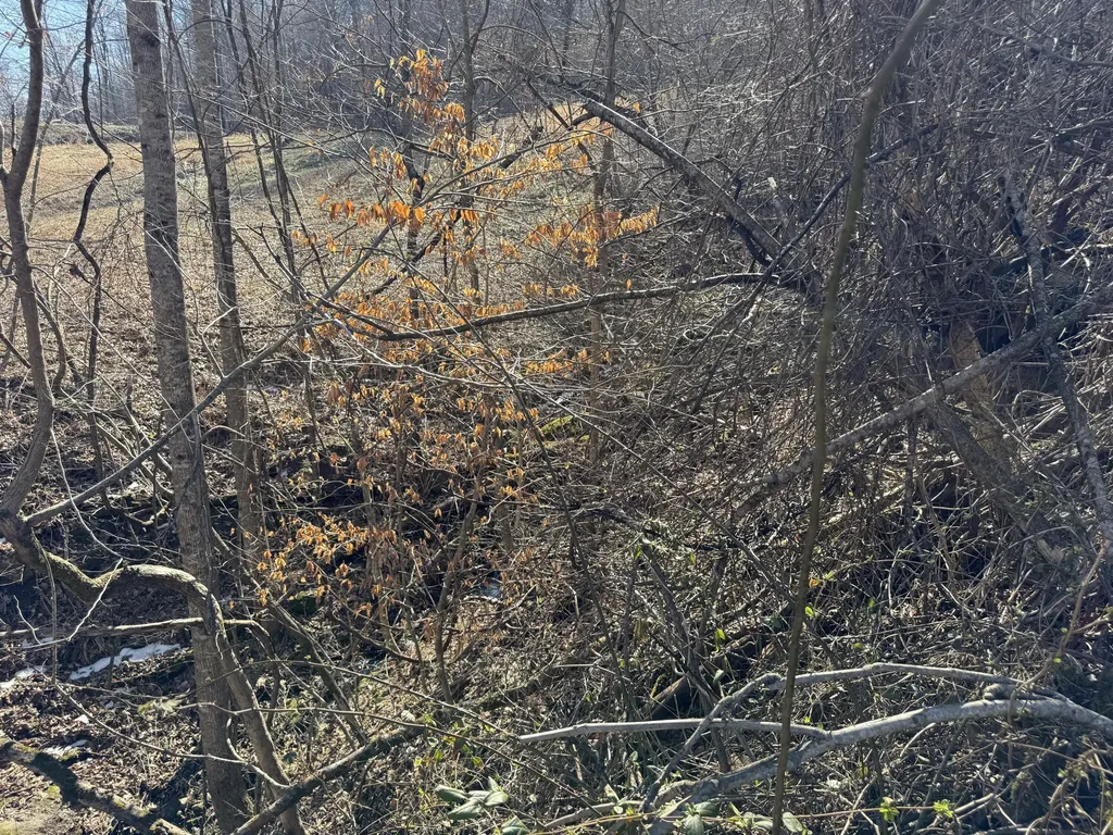 1657 Dry Hollow Road Monticello KY 42633