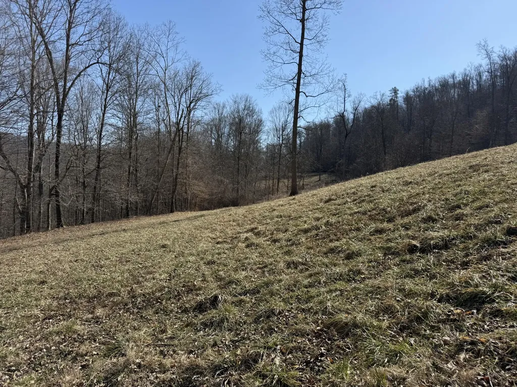 1657 Dry Hollow Road Monticello KY 42633