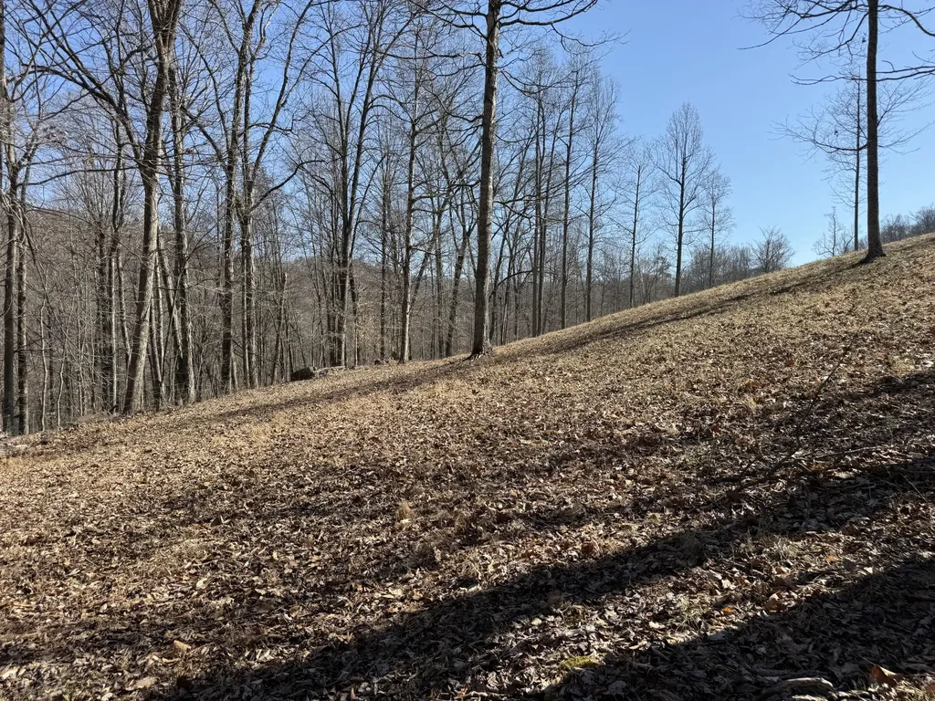 1657 Dry Hollow Road Monticello KY 42633
