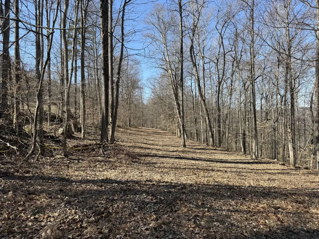 1657 Dry Hollow Road Monticello KY 42633