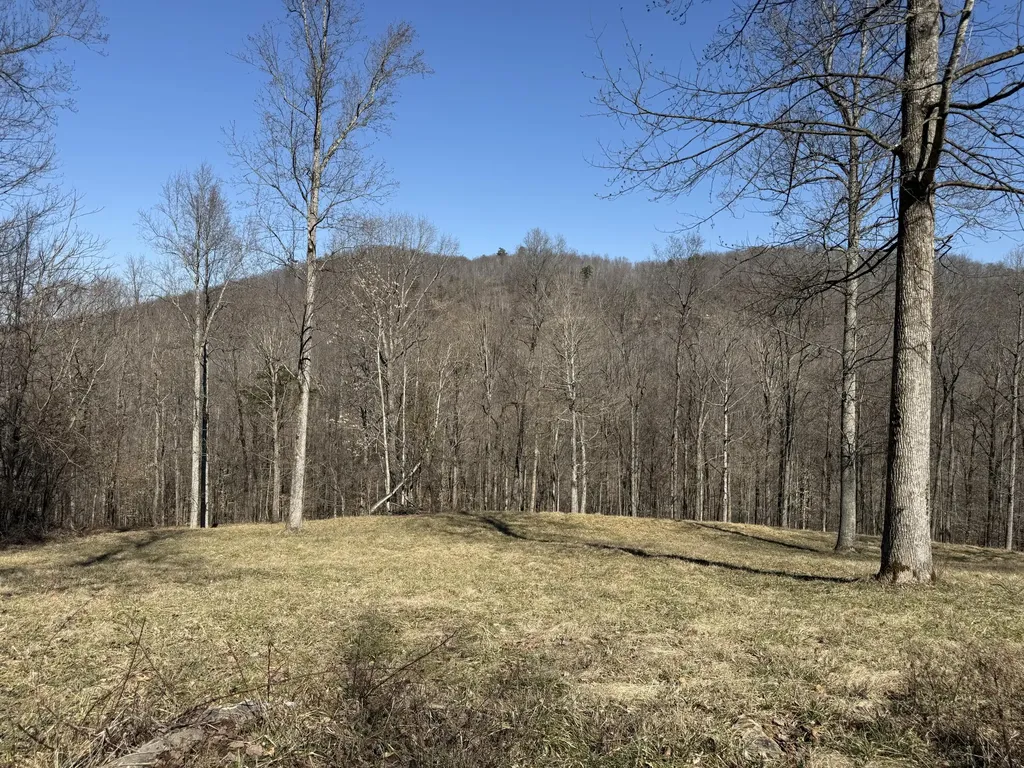 1657 Dry Hollow Road Monticello KY 42633