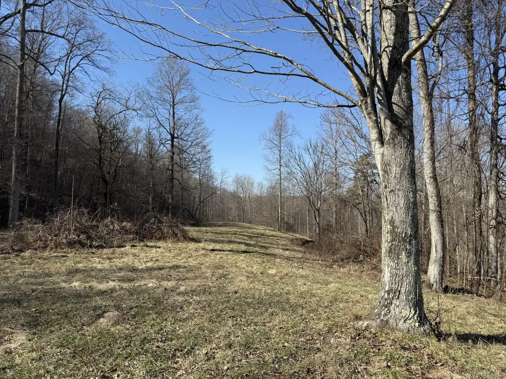 1657 Dry Hollow Road Monticello KY 42633