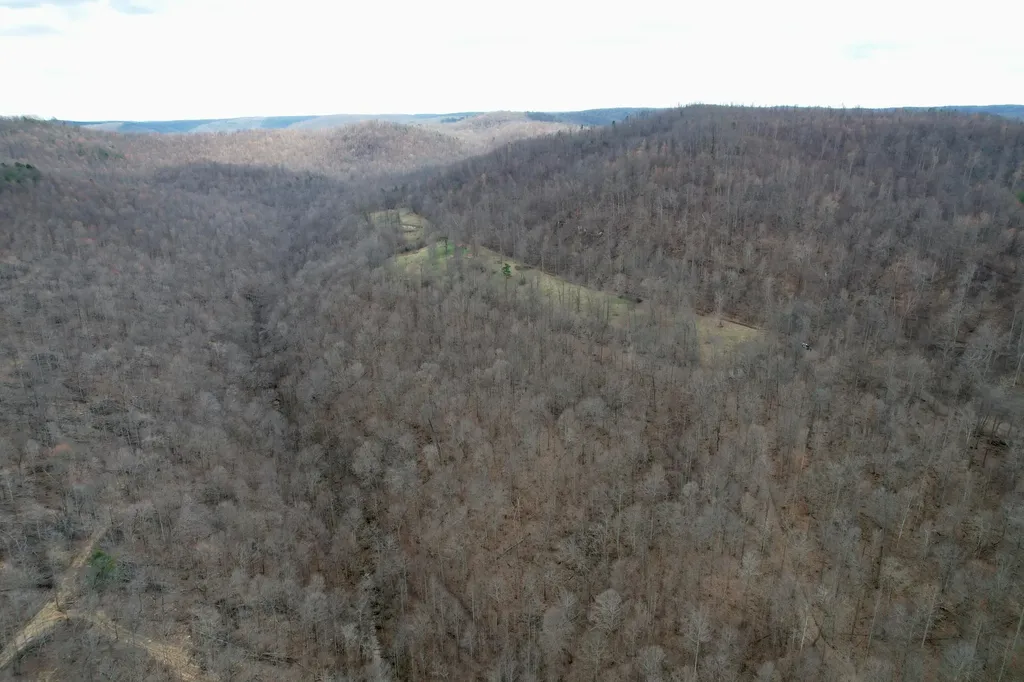1657 Dry Hollow Road Monticello KY 42633