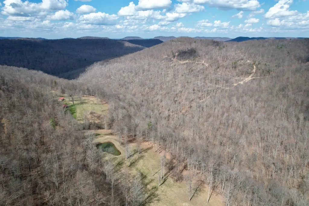 1657 Dry Hollow Road Monticello KY 42633