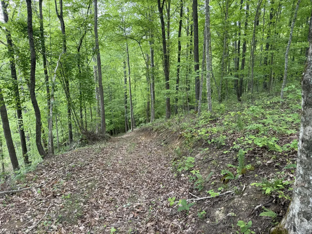 0 Middle Rains Cemetery Road Williamsburg KY 40769