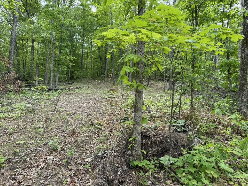 0 Middle Rains Cemetery Road Williamsburg KY 40769