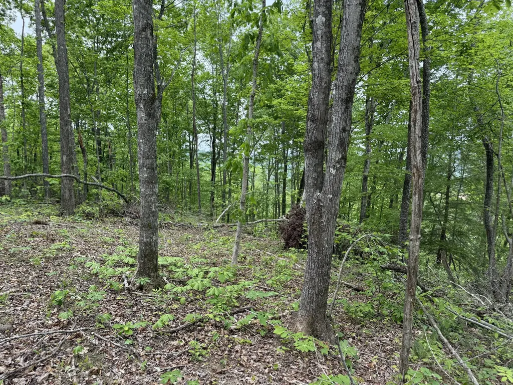 0 Middle Rains Cemetery Road Williamsburg KY 40769