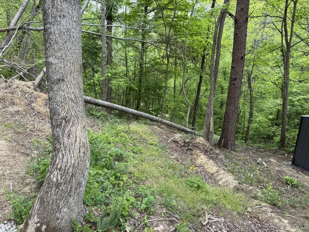 0 Middle Rains Cemetery Road Williamsburg KY 40769