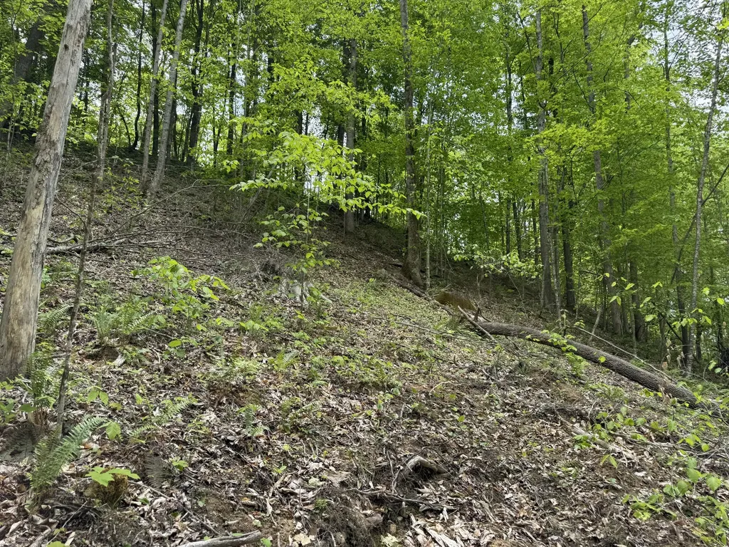 0 Middle Rains Cemetery Road Williamsburg KY 40769