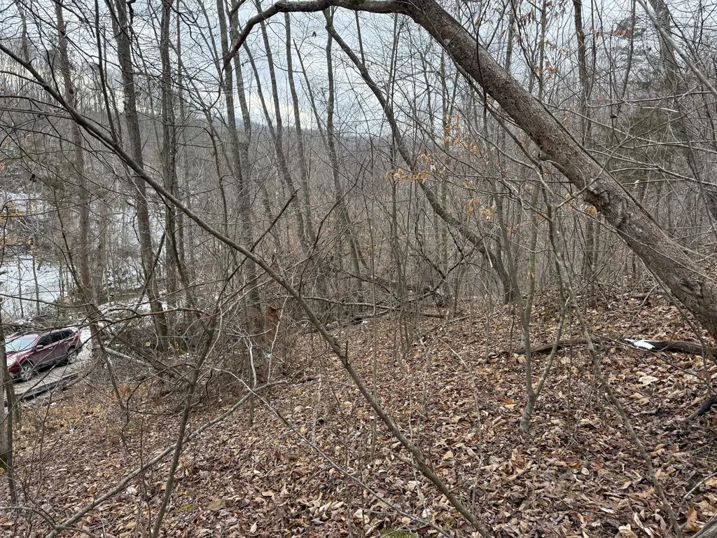 0 Middle Rains Cemetery Road Williamsburg KY 40769