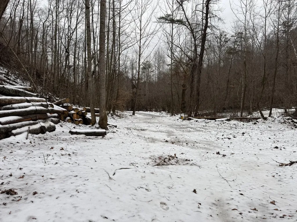0 Middle Rains Cemetery Road Williamsburg KY 40769