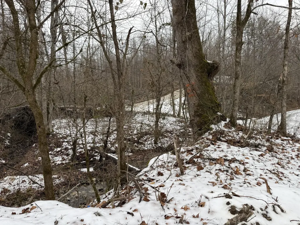 0 Middle Rains Cemetery Road Williamsburg KY 40769