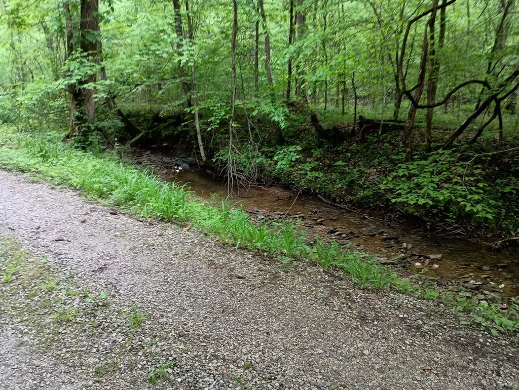0 Middle Rains Cemetery Road Williamsburg KY 40769