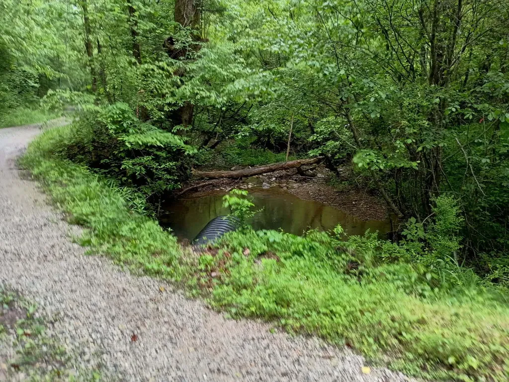 0 Middle Rains Cemetery Road Williamsburg KY 40769