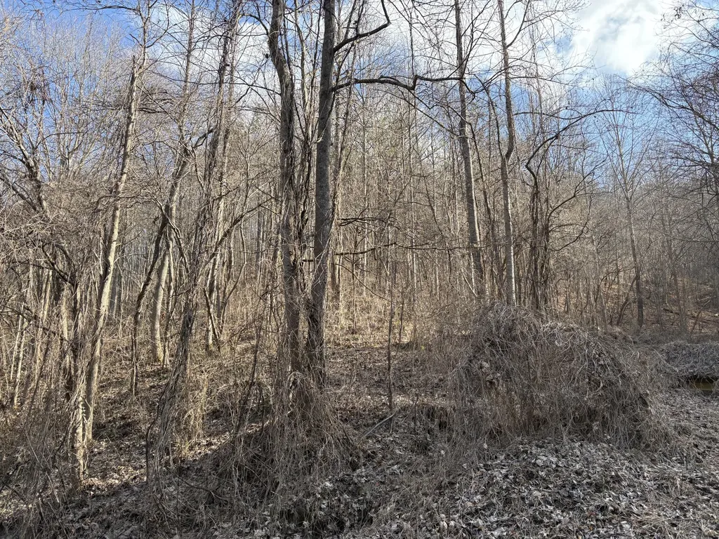 1610 Brices Creek Road Flat Lick KY 40935