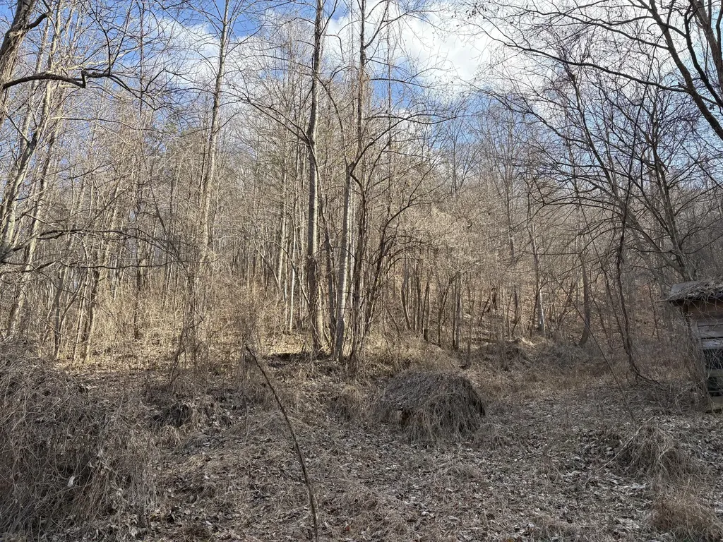 1610 Brices Creek Road Flat Lick KY 40935