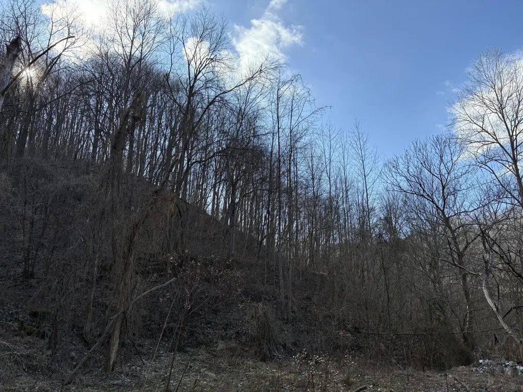 1610 Brices Creek Road Flat Lick KY 40935